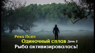 ОДИНОЧНЫЙ СПЛАВ по реке ПСЕЛ / ДЕНЬ 2/ РЫБА АКТИВИЗИРОВАЛАСЬ!