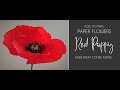 Paper Flower - Red Poppy from coffee filters