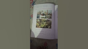 class 9 bridge course