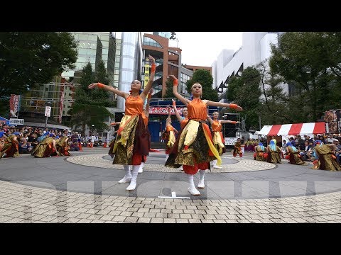 浜スマRUSH!! 18th 東京よさこい