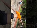 Circling in pool