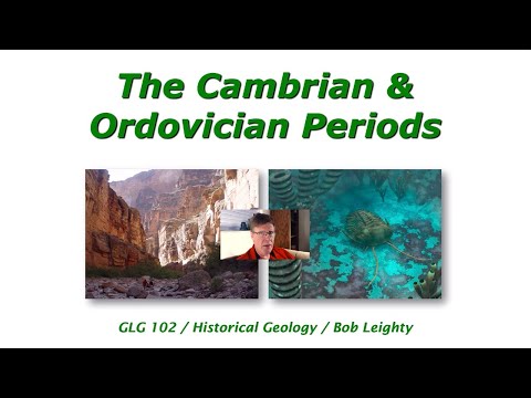 The Cambrian & Ordovician Periods