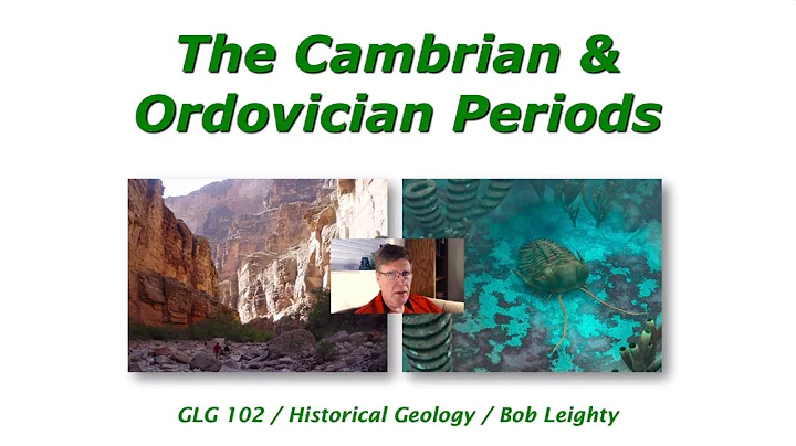 The Cambrian & Ordovician Periods