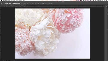 Foto Rx : How to Load Actions into Photoshop