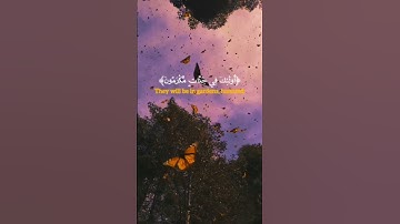 تلاوة تريح الروح والقلب | لابد أن تسمع 🤚🤍
