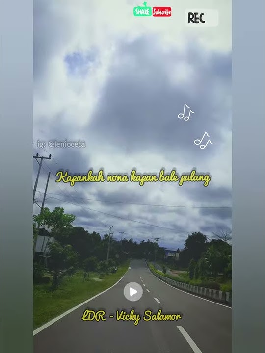 Story Wa LDR - Vicky Salamor