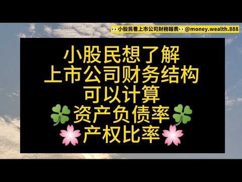 小股民想了解上市公司财务结构, 可以计算资产负债率和产权比率。