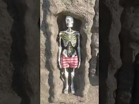 طريقة دفن غريبة واقف وتحت الأرض