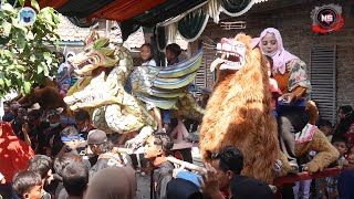 Bokong Tua - Burok NADA SATRIA Live Dompyong Kulon 16-05-2021
