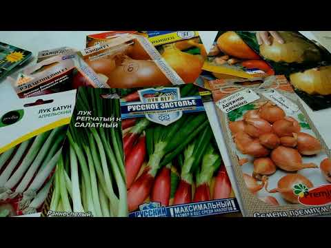 ПОКУПКА СЕМЯН ЛУКА, МОРКОВИ,КАПУСТЫ в СИБИРИ