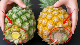 Just Look At This Position To Pick Sweet, Juicy Pineapples! Just Look At This Position To Pick Sweet Juicy Pineapples
