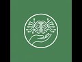 Functional - Pediatric RNS for Drug-Resistant Epilepsy: Centromedian Nucleus Targeting