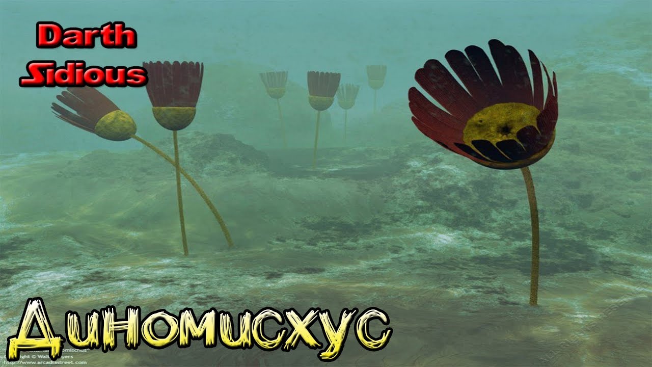 Развитие жизни на Земле (The Evolution of Life) - Диномисхус (Dinomischus)