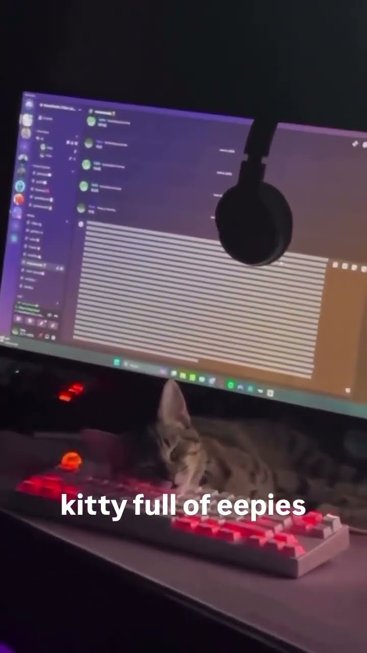 Kittyo mad tired after prvnci show In La