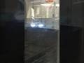 Arrivée d'un mp05 à Charles de Gaulle Etoile vers Château de Vincennes #idfm #metro #mp05 #paris