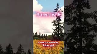 Proverbs 15 proverbs bible bibleverse wordofgod wisdom
