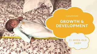 11-Week-Old Baby: Growth & Development | Subt. ENG/ FR/ ES/ ZHO_CN | CloudMom