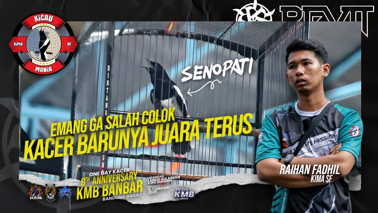 Kacer SENOPATI Tampil Hebat ‼️ 8th Anniversary KMB BANBAR