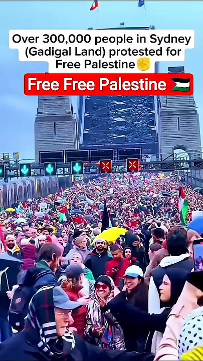 Free Palestine🇵🇸#palestine#shorts #freepalestine#freefreepalestine #lovesong #viralvideo#shortvideo