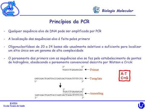 Aula 6   Principais Técnicas de Biologia Molecular