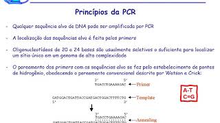 Aula 6   Principais Técnicas de Biologia Molecular