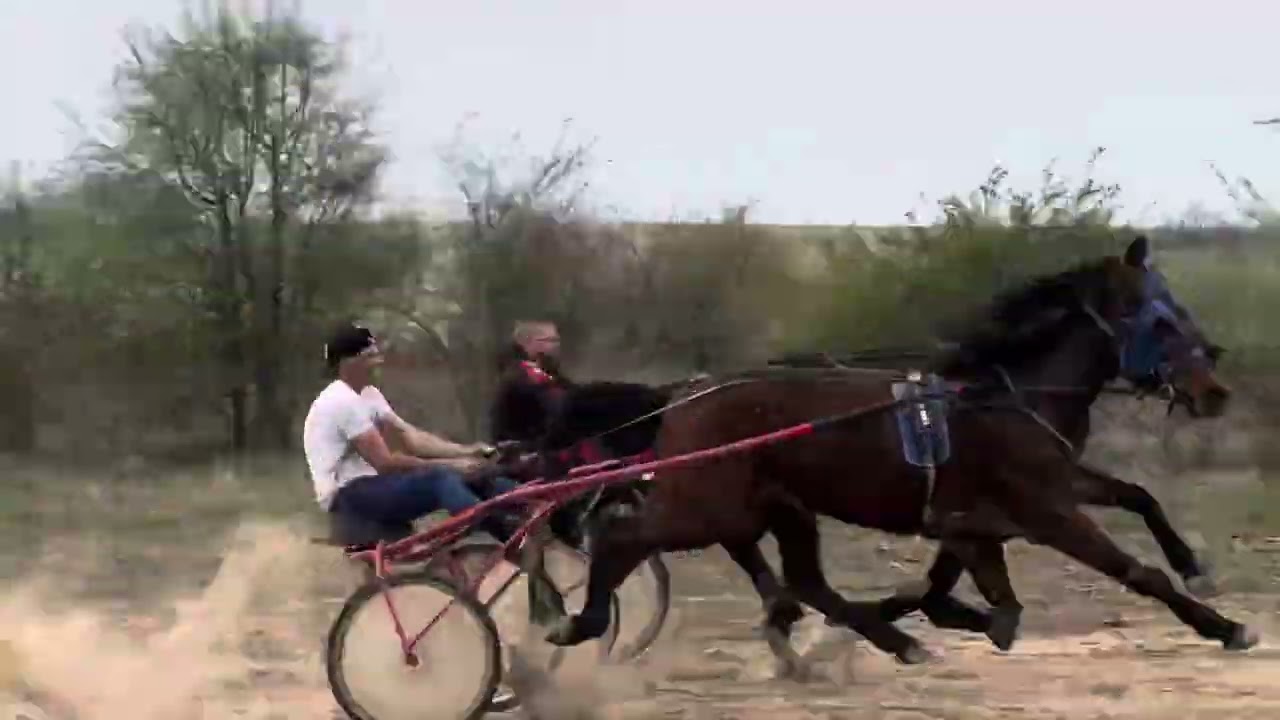 Мая Гамс първо място Втори Джони трети Посайдон четвърти Унисон 25.03.2025