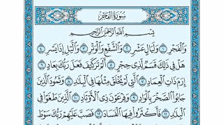 سورة الفجر // الحافظ خليل إسماعيل