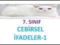 7. SINIF CEBİRSEL İFADELER-1