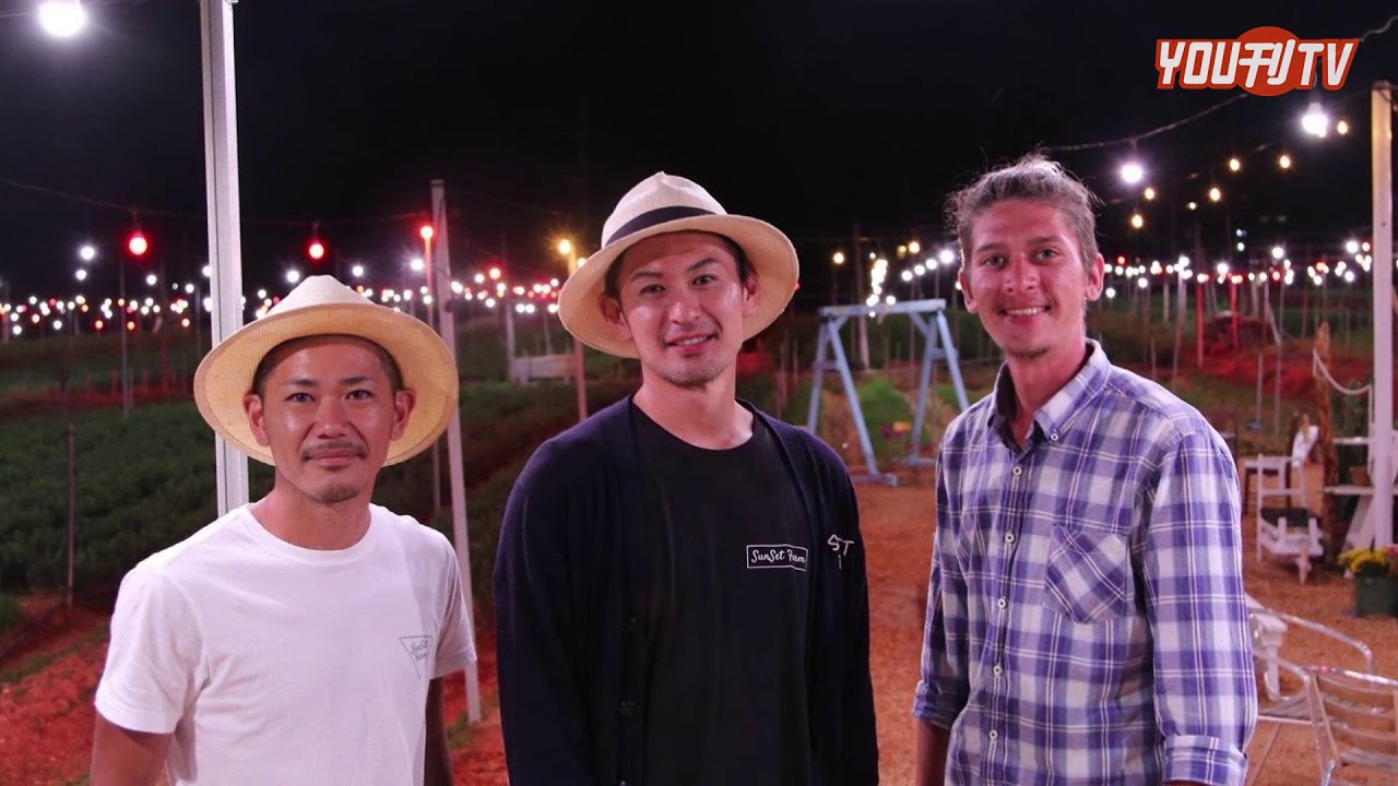 幻想的な灯り 電照菊 キクミネーション １９年５月３１日（金）