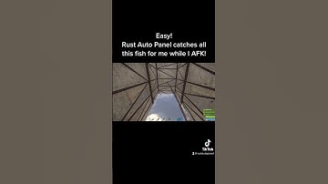 Rust Auto Fisher Bot. Link in comments! #rustmacros #rustscript #shorts