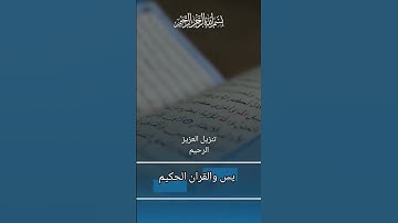 تلاوة خاشعة وراحة نفسية 🕊️🤍🎧 #quran #قرآن #qurantilawat #قران_كريم #qurantranslation #اكسبلور
