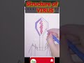 Structure of Virus in easy way #biologywithravian #ytshorts #shorts #drawing