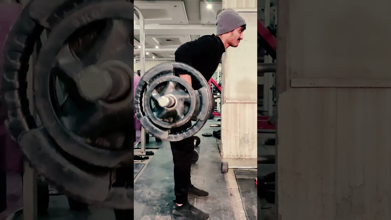 Muscle Building Day 65 - Back day