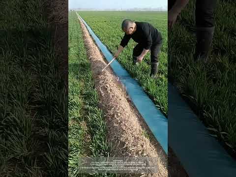 Use Cheap Disposable