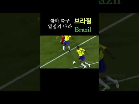 브라질, 핵잠 보유국의 꿈?!
