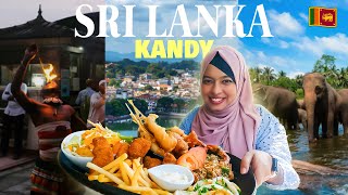 শ্রীলঙ্কায় প্রথম দিন | Kandy তে কী কী করবেন? 🇱🇰 screenshot 5