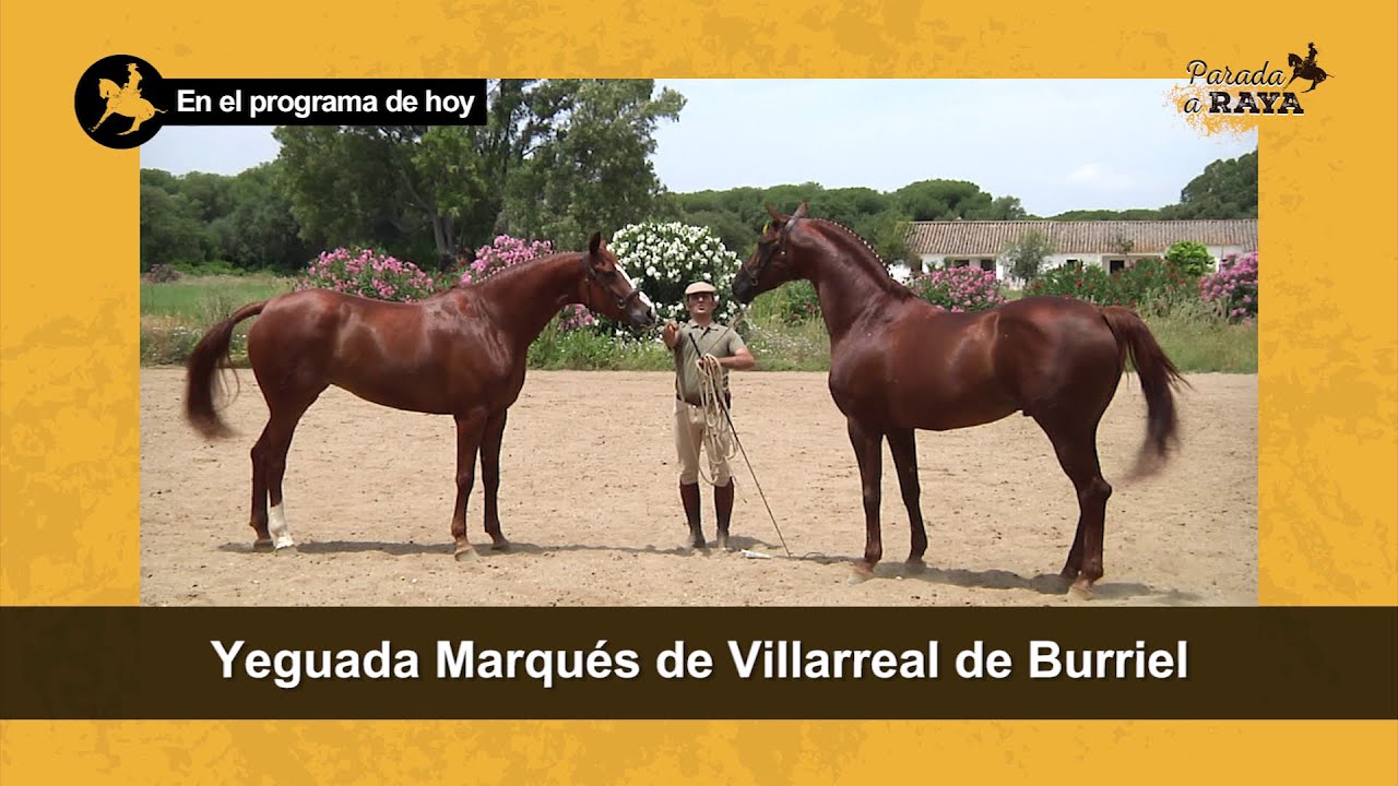 Parada a Raya. Programa 139