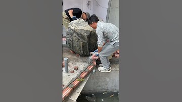 Tạo 1 hòn non bộ hồ koi đẹp bằng đá cuội vân mây#nguyencongsanvuon  #nguyenconghokoi  #cakoihaiphong