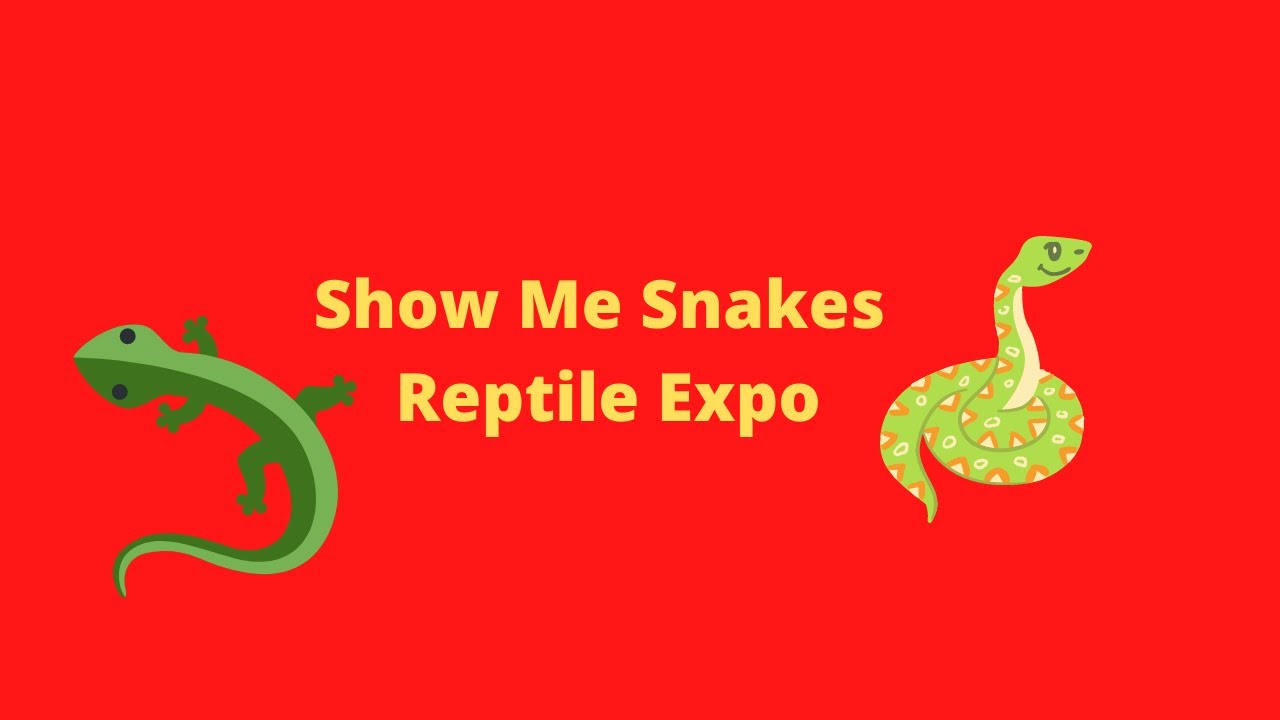 Show Me Snakes  Knoxville Feb-12th-2022