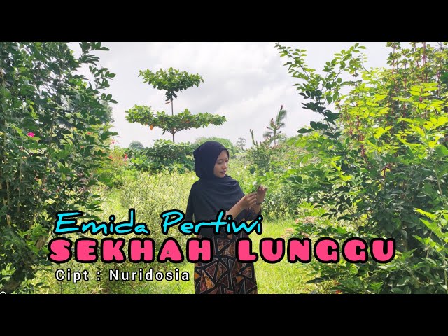 Lagu Lampung SEKHAH LUNGGU // Cipt : Nuridosia // Cover EMIDA PERTIWI class=