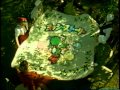懐かしいCM 任天堂 NINTENDO64「ヨッシーストーリー」