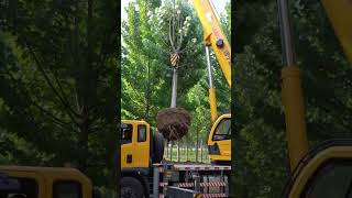 High-spec, short-wheelbase 12-ton Dongfeng truck crane,+8615054723399