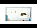 Animals Birds Names In Arabic Arabic Vocab