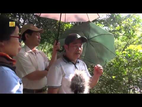 Video 797. Cao Bằng tiên cảnh (P1) Suối Lê Nin, hang Cốc Bó... - youtube