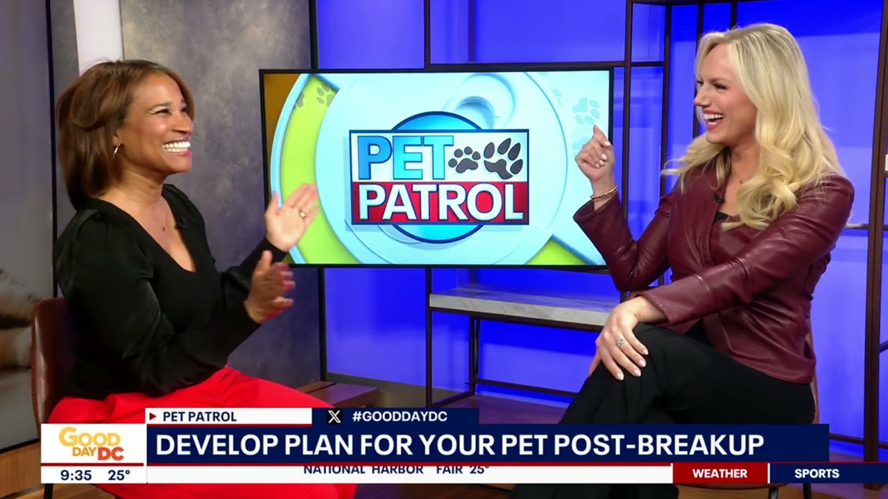 Divorce and Pet Ownership: What Happens to Your Pets? | DC Family Lawyer