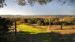 Wine Country Estate In Geyserville, California