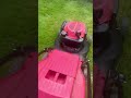 petrol lawnmower