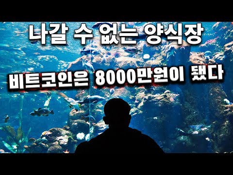   비트코인이 8000만원이라도 살 수 밖에 없어요 트래빗 거래소 파산 피해자 인터뷰