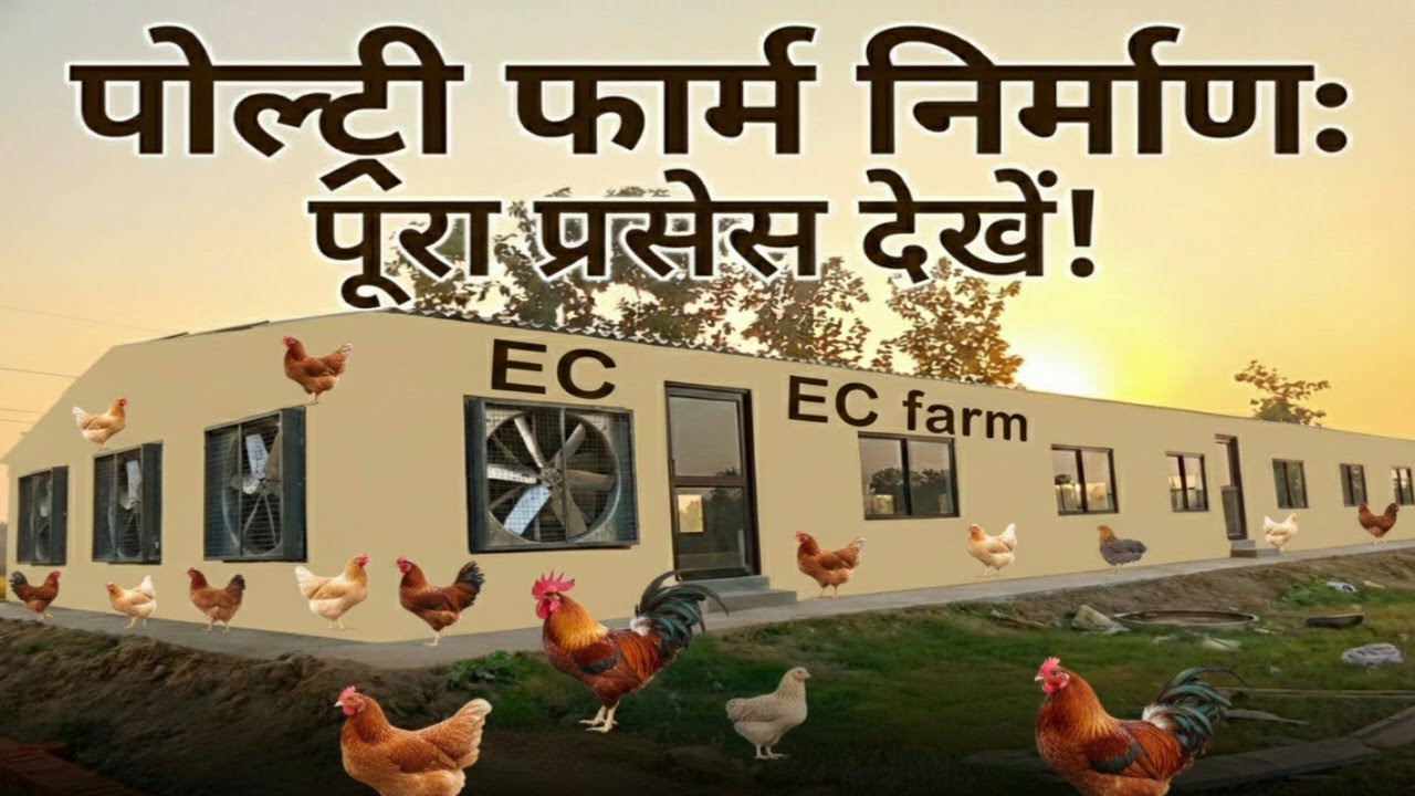 मैंने अपना पोल्ट्री फार्म कैसे तैयार कराया | पूरा कंस्ट्रक्शन प्रोसेस