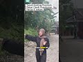 Kapan lagi punya tanah di dekat candi prambanan?